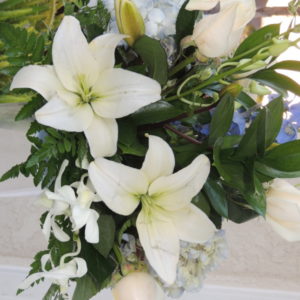 White Roses, White Lilies, Mums & Blue Bonnets