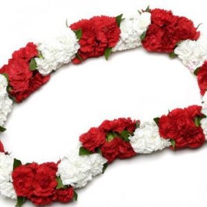Red And White Lei